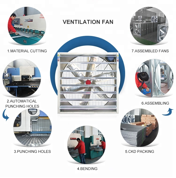 Industrial Ventilation Drop Hammer Exhaust Fan for Greenhouse Poultry Farm Livestock House