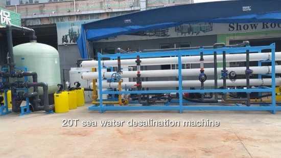 10000lph Seawater Desalination Machine Is Used for High Salt Alkali Area and Seashore Area